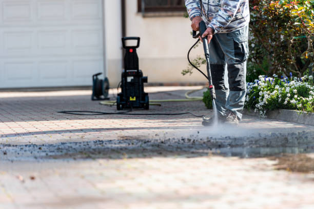 Best Residential Pressure Washing Services  in La Fayette, AL