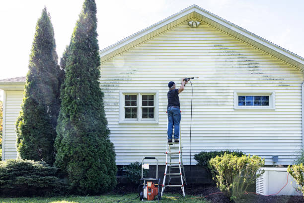 Professional Pressure Washing in La Fayette, AL