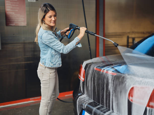 Best Local Pressure Washing Services  in La Fayette, AL